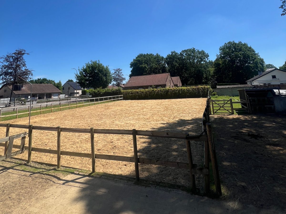 Paard Ravell bij de stal