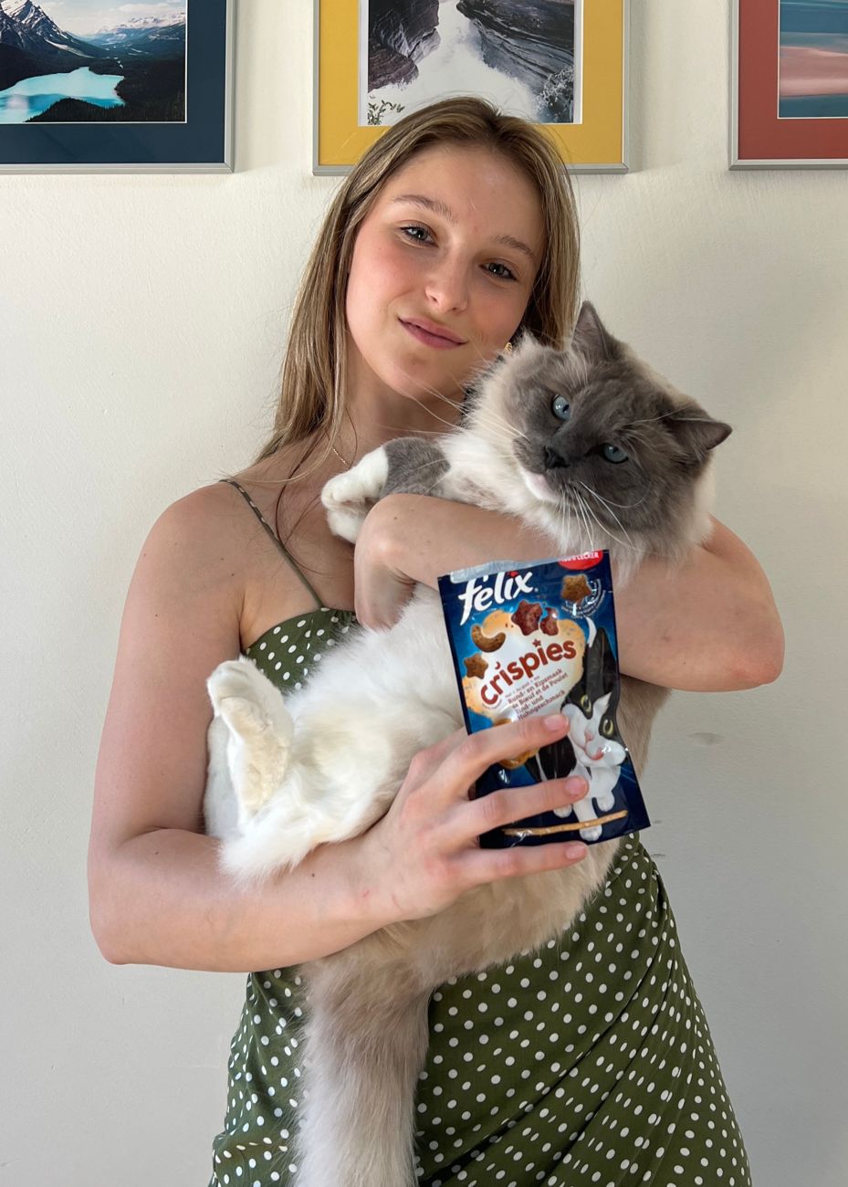 Kattensnoepjes met kat
